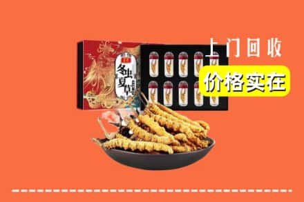 本溪县回收冬虫夏草