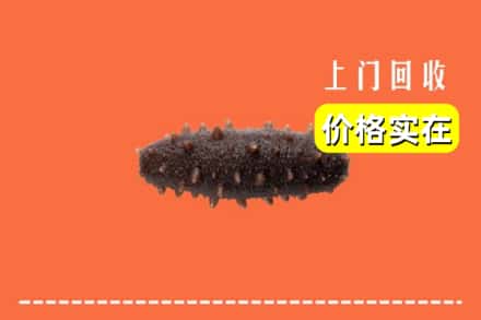收购资讯:本溪县回收海参
